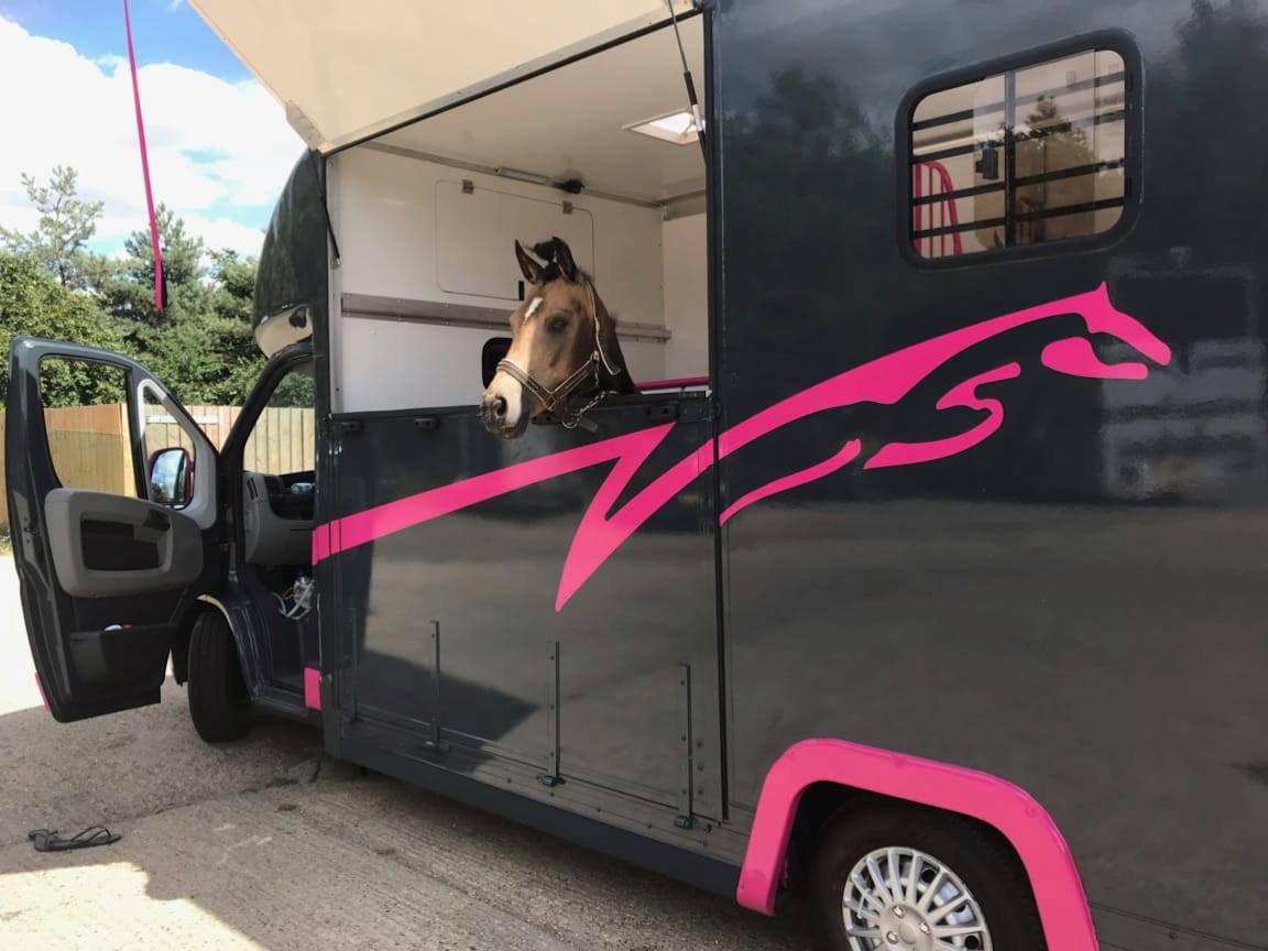 Brand New 3.5 T Horsebox